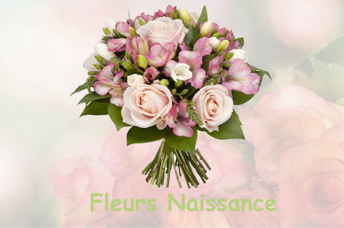 fleurs naissance SOUILLY